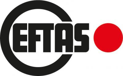 Logo von EFTAS Fernerkundung Technologietransfer GmbH